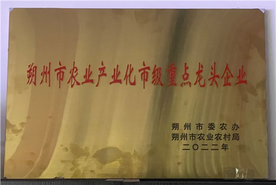2022年朔州市重点龙头企业